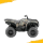 GRIZZLY 550