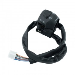 دقمه النور والبوري للريس صيني 250CC