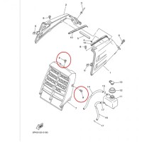 مسمار شبك بانشي 