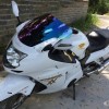 زجاج امامي CBR1100XX