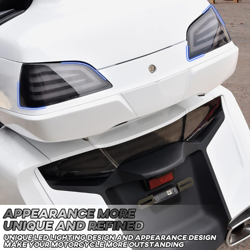 اصطب خلفي اسموك gl1800 01-17