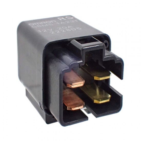 سلف كتاتوت تايواني 