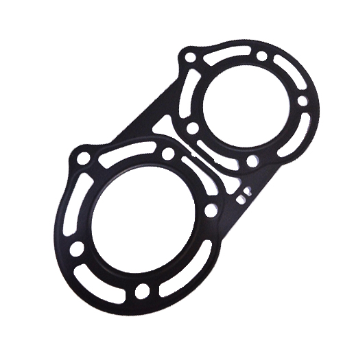 وجه راس بانشي وكالة