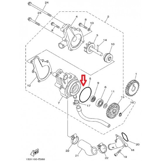 ربل غطاء جنزير رابتر