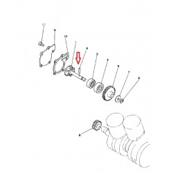 مروحه ماء بانشي وكاله