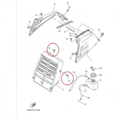 مسمار شبك بانشي 