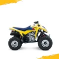 z250