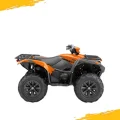 GRIZZLY 700
