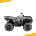 GRIZZLY 550